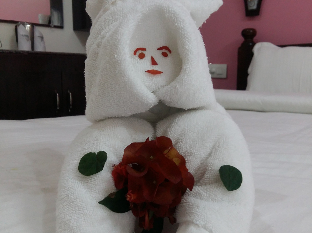 Hotel Anjalis Classic International主图