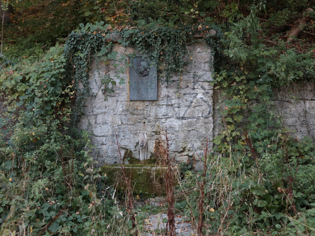 Burgruine Hohennagold景点图片