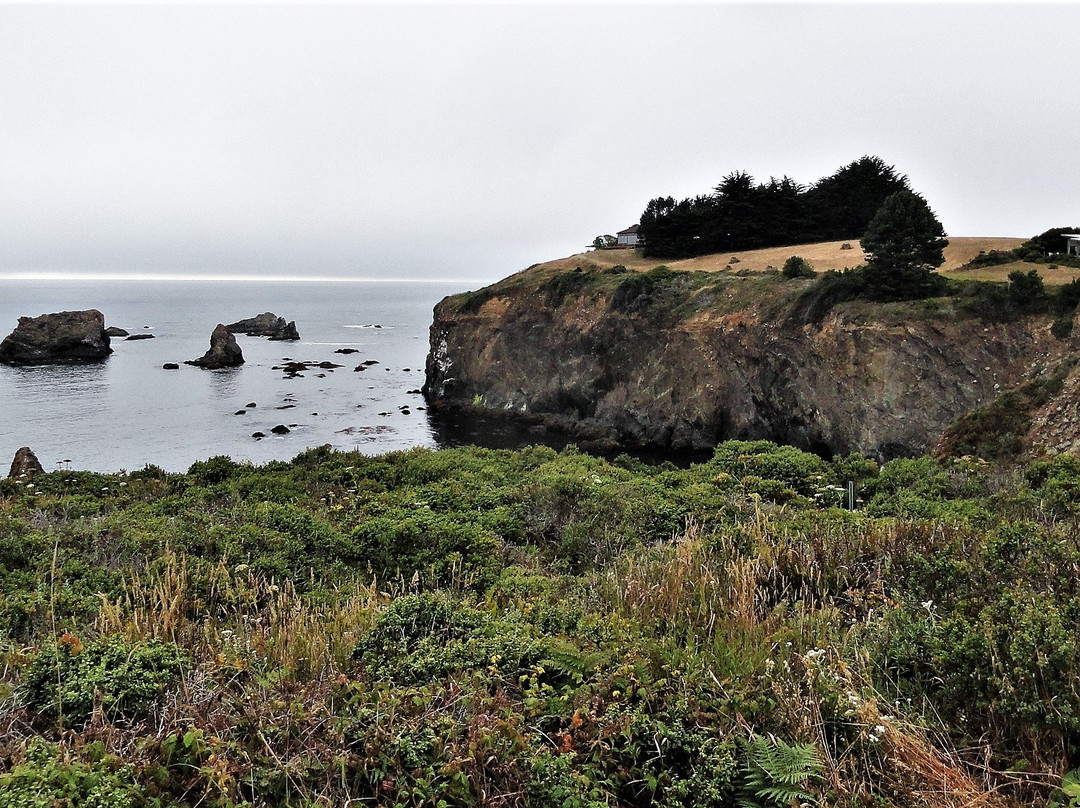 Westport-Union Landing State Beach景点图片