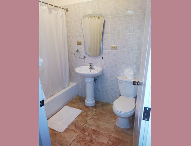 Hotel Samana Spring主图