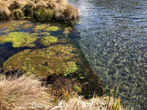 O'Malleys Track-亚瑟隘口国家公园必去景点