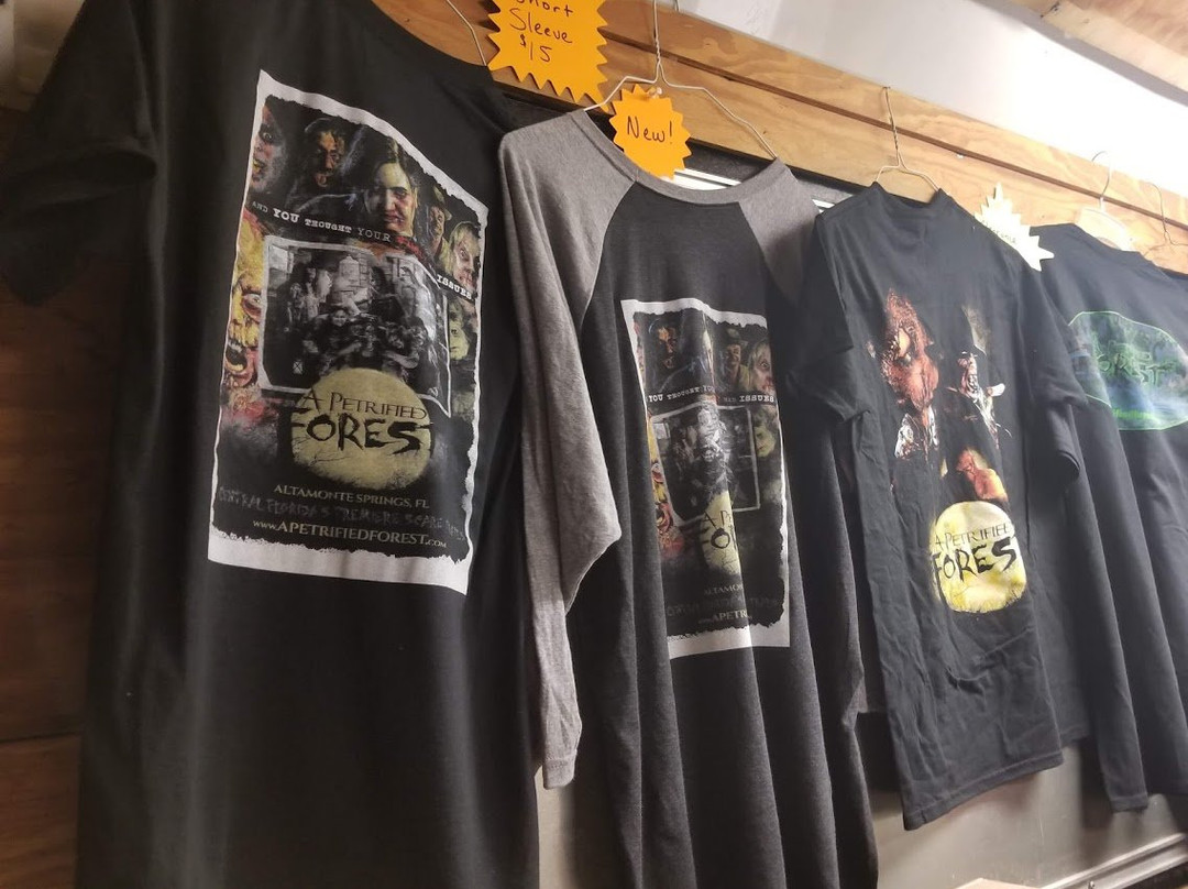 A Petrified Forest-阿尔塔蒙特斯普林斯必去景点