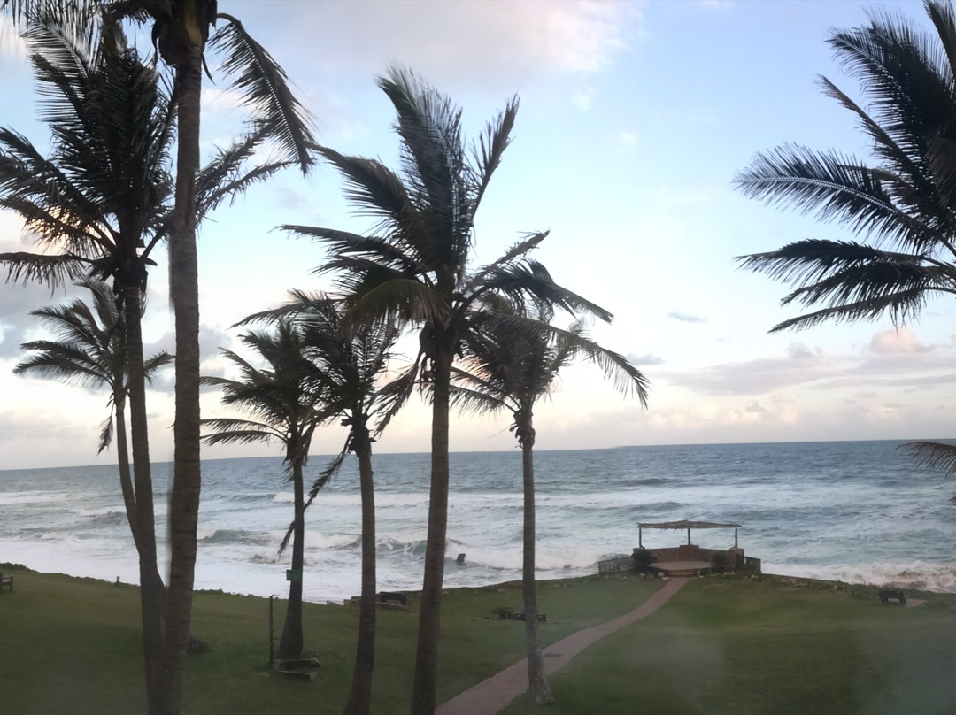 Salt Rock Hotel & Beach Resort主图