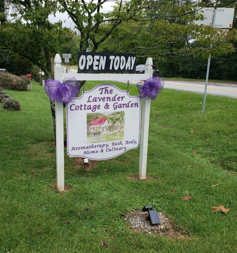The Lavender Cottage & Garden景点图片
