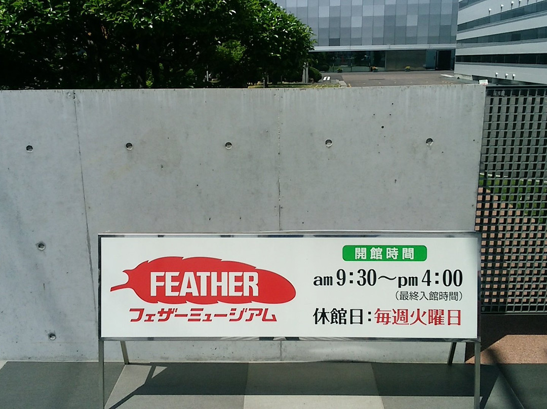 Feather Museum of Razor景点图片