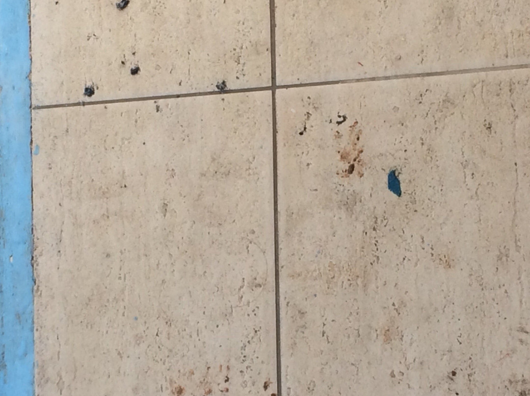 Coast Ridge Mansion主图