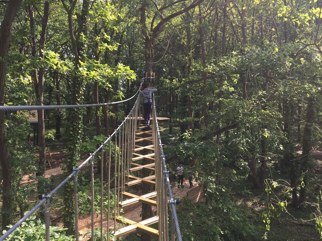 AccroCamp Giverny/Boucles de Seine景点图片