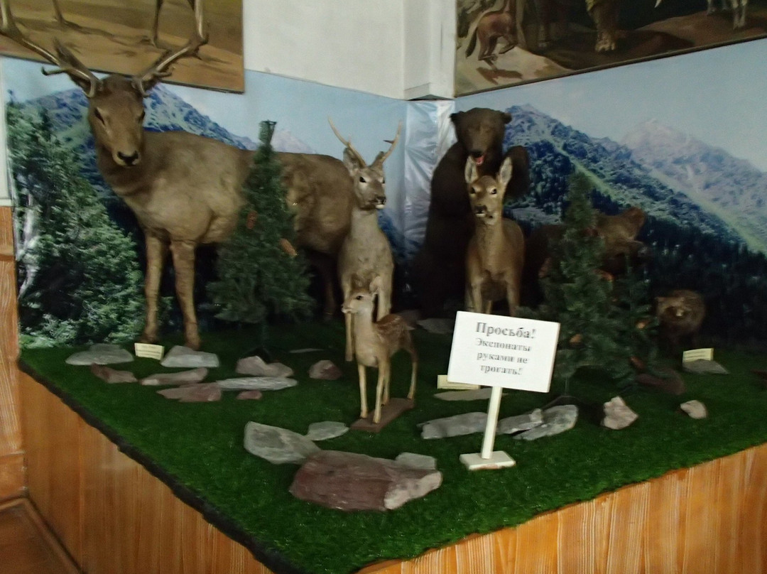 Zoological Museum景点图片