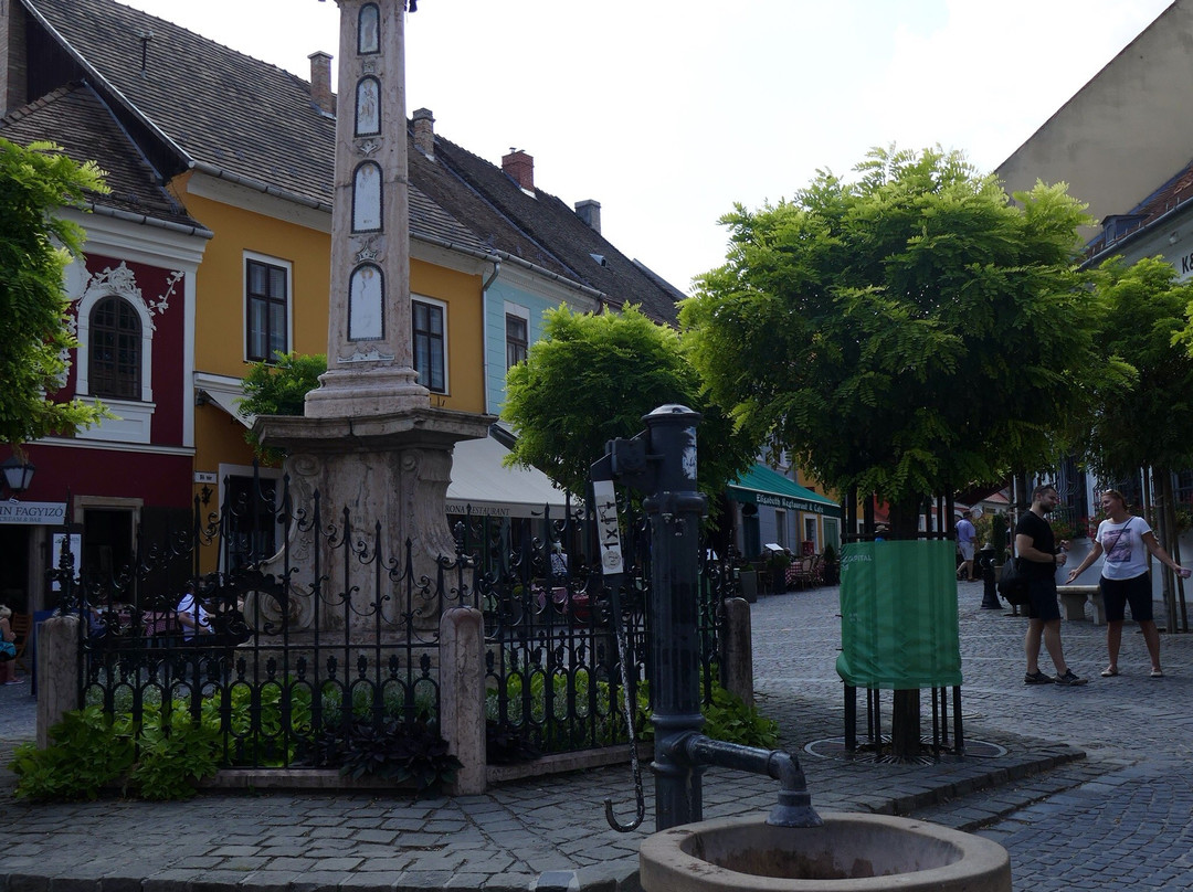 Szentendre Aquarium and Terrarium House景点图片