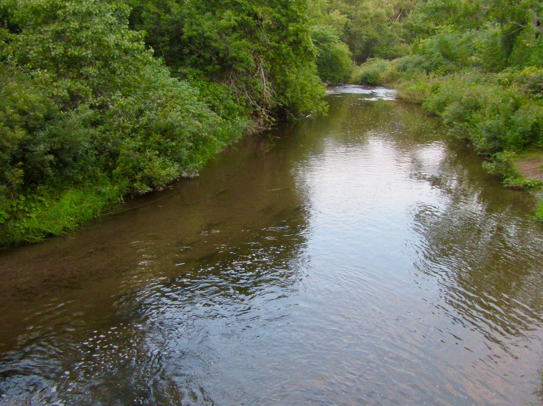 Cobourg Conservation Area-科堡必去景点