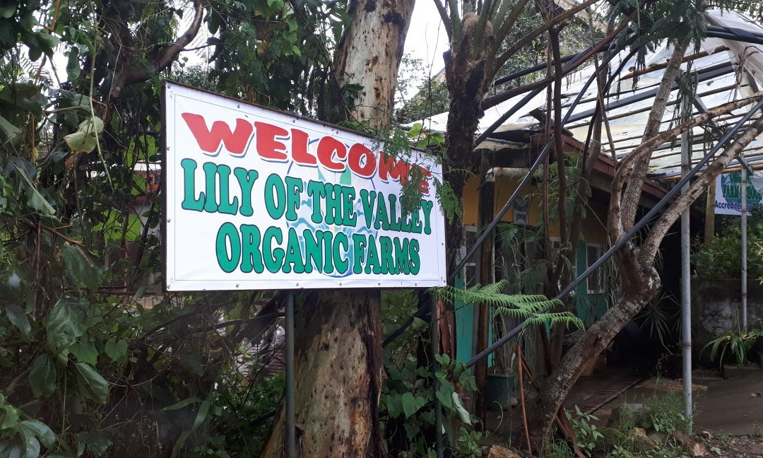The Lily of the Valley Organic Farm