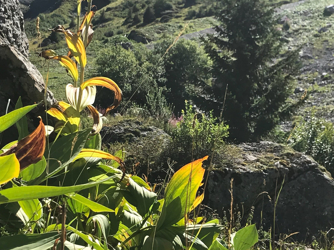 Valmorel La Belle主图