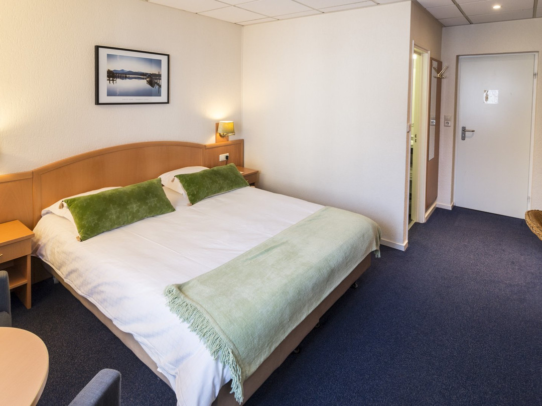 Hotel Edenpark主图