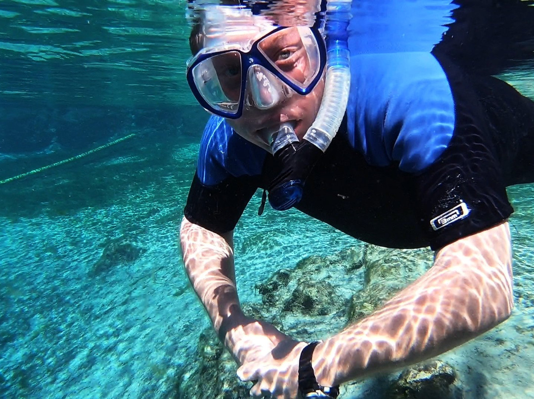 Adventure Dive Center-奥尔巴尼必去景点