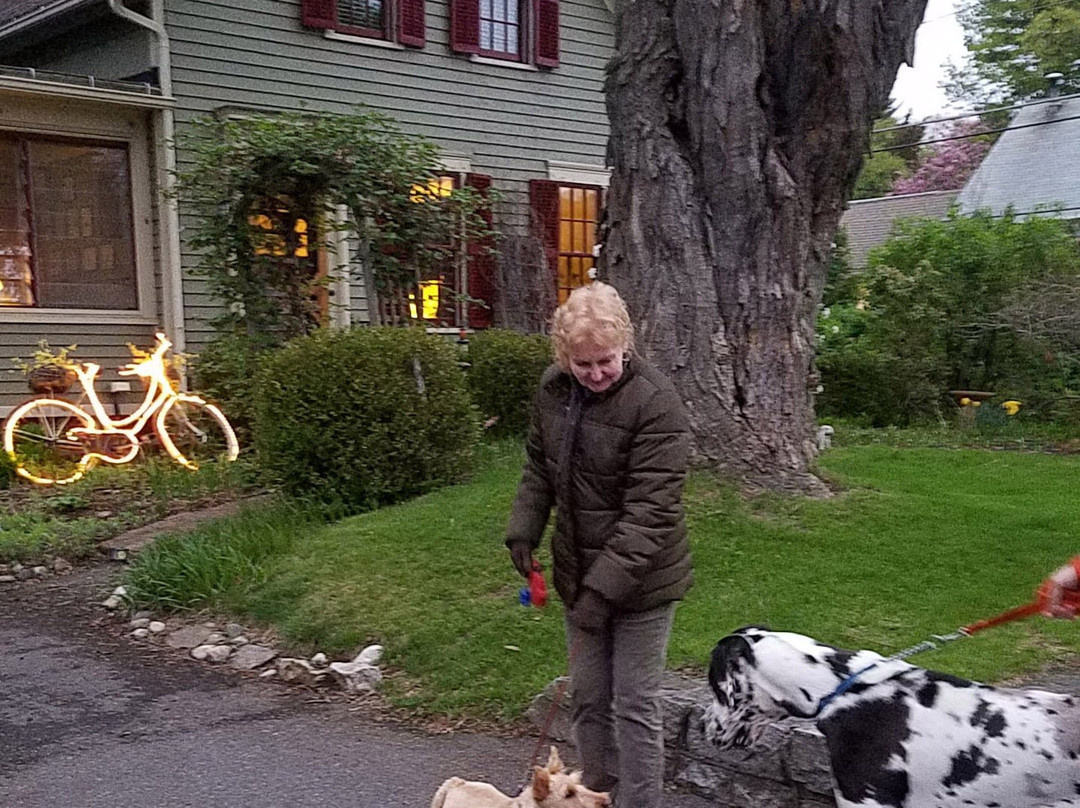 Sugar Maple Trailside Inn主图