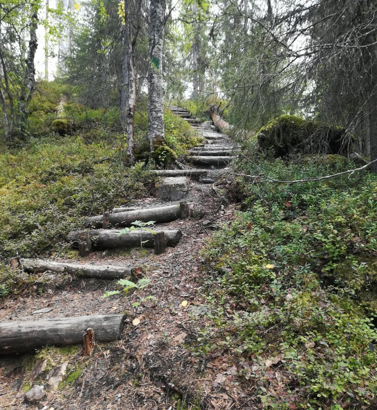 Kanjonin Kurkkaus Trail景点图片