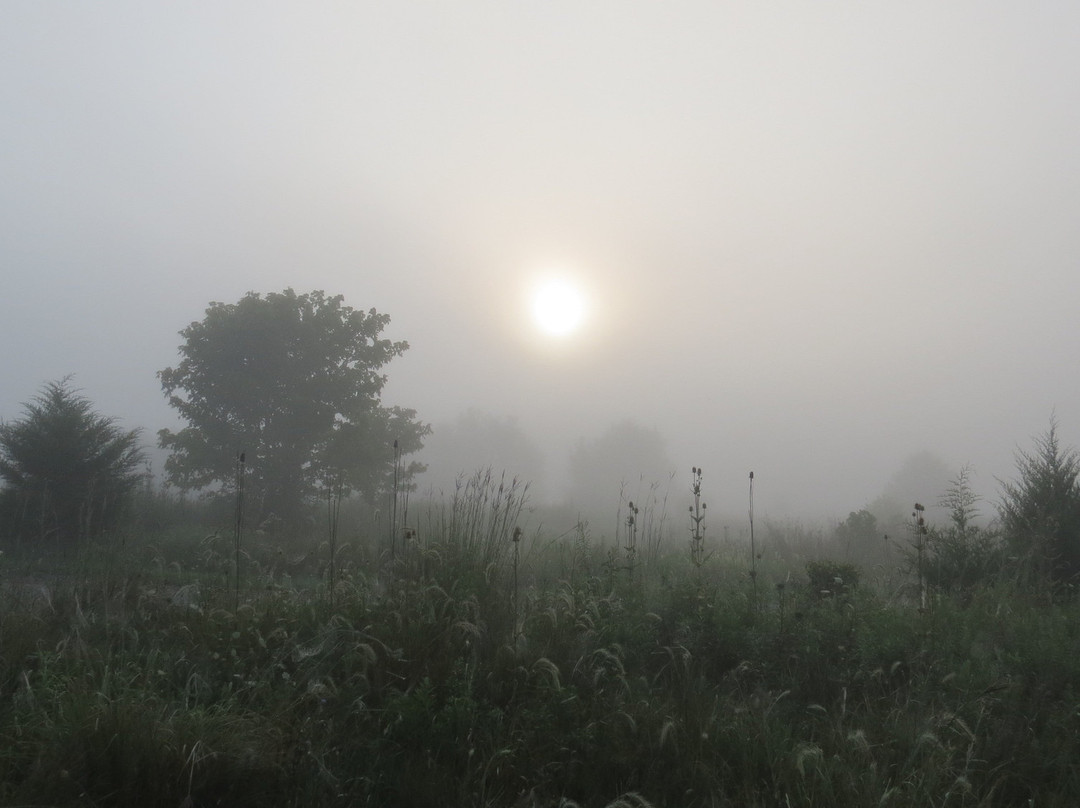Fernald Preserve-Harrison必去景点