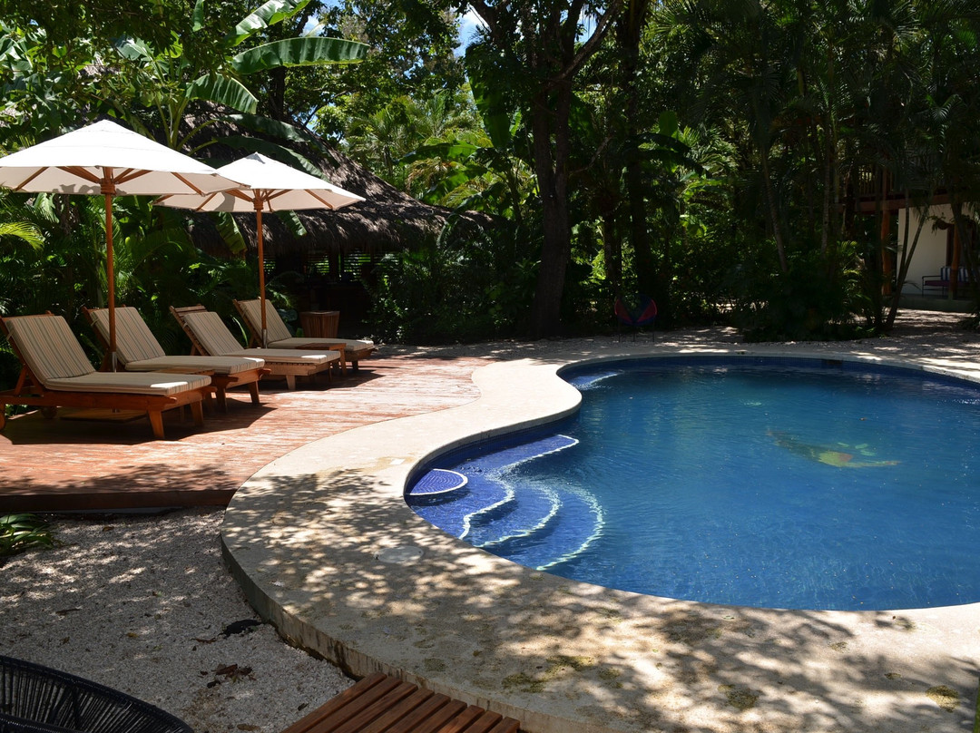 The Sunset Shack主图