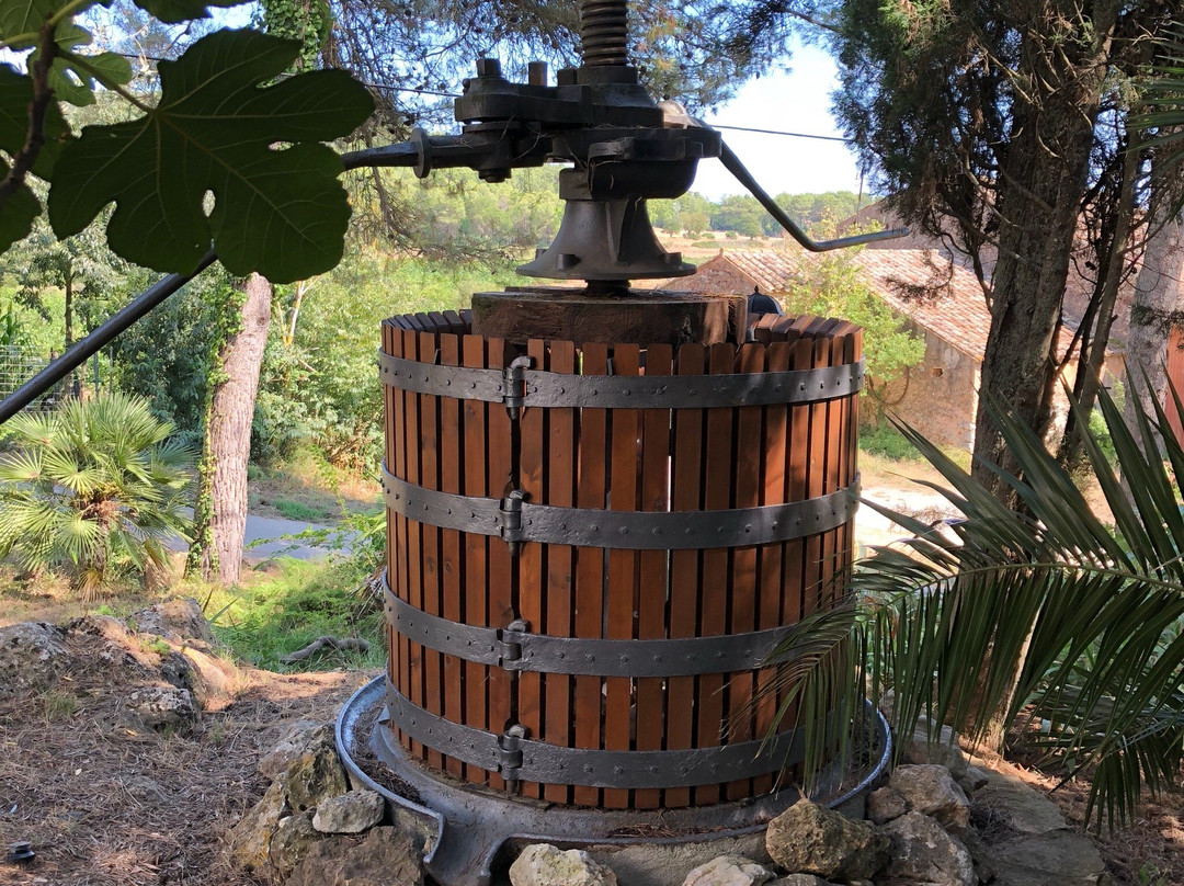 Montau de Sadurni-Begues必去景点