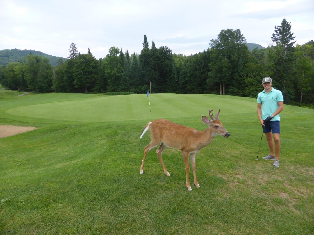 La Bête Golf Course-塔伯拉山必去景点