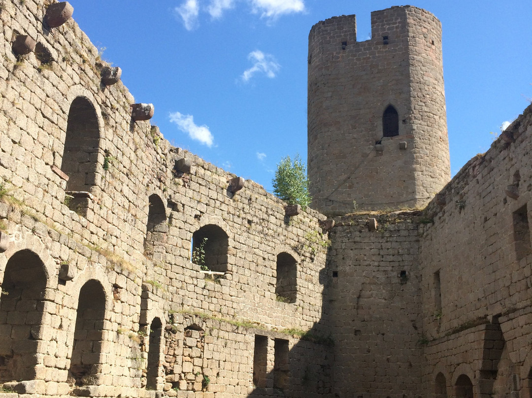Château d'Andlau景点图片