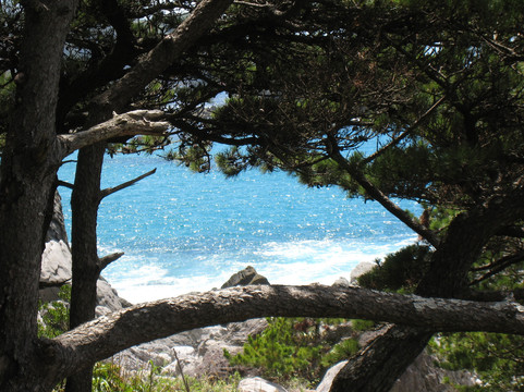 Sawajiri Beach-神津岛村必去景点