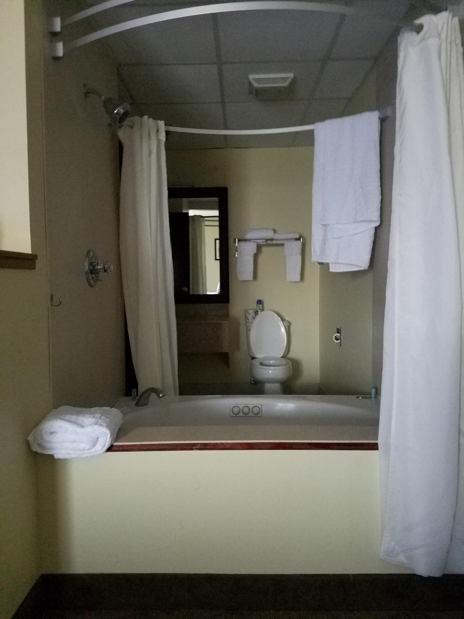 Best Western Crossroads Inn-浴室