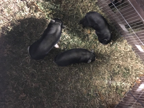 A. W. Perry Homestead-卡罗尔顿必去景点