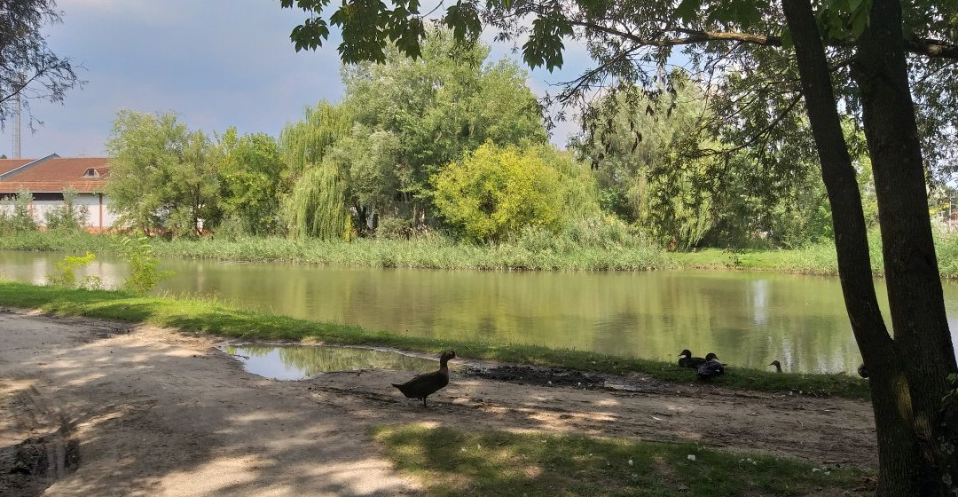 Hotel Villa Majur主图