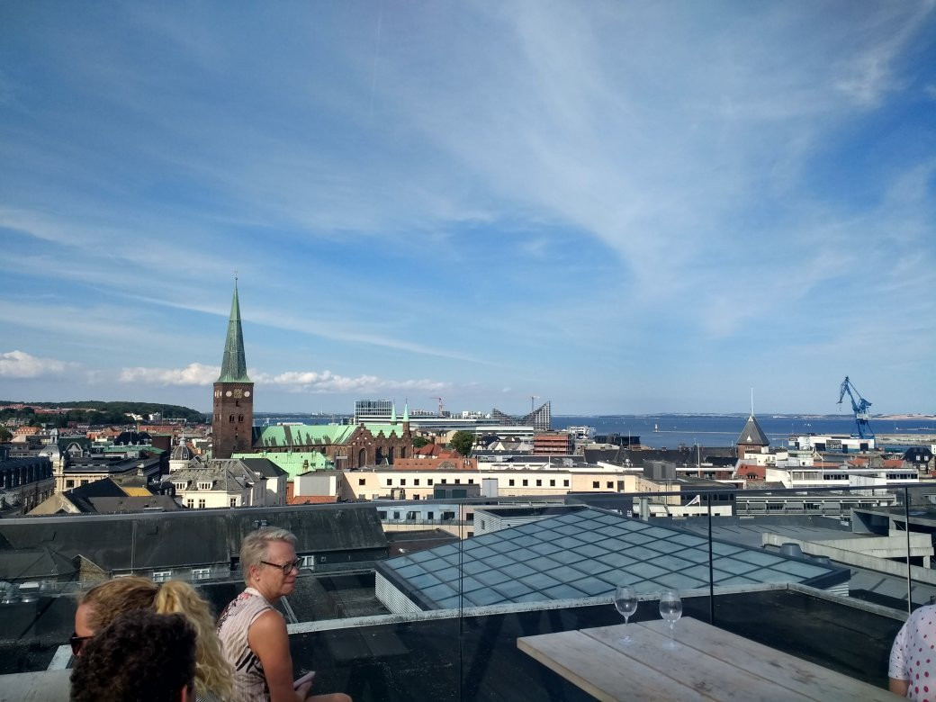 Salling Rooftop-欧胡斯必去景点