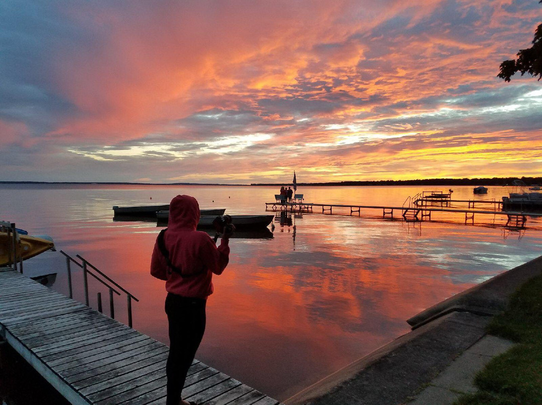 Driftwood Resort主图