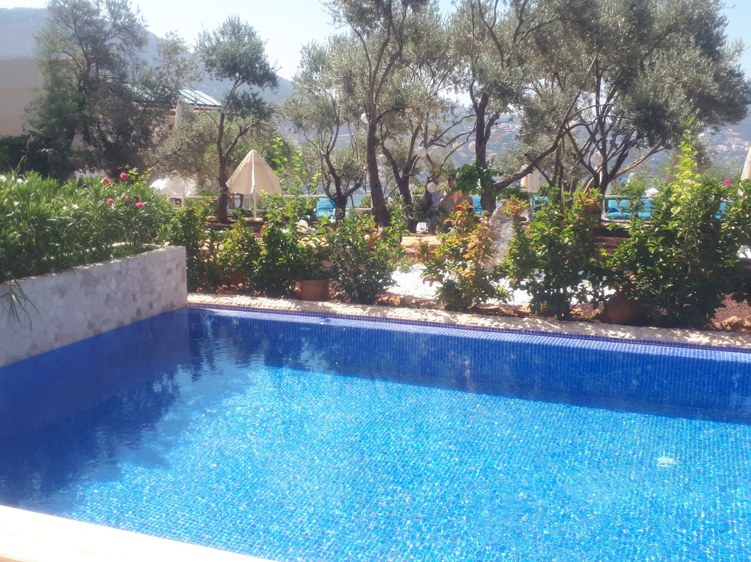 Oasis Hotel And Spa主图