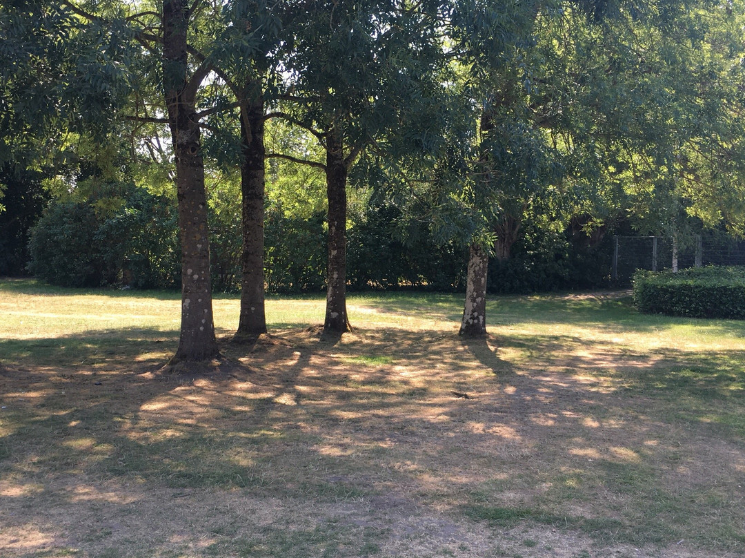 friluftsbadet-欧登塞必去景点