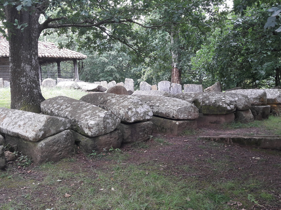 Necropolis de Argineta景点图片