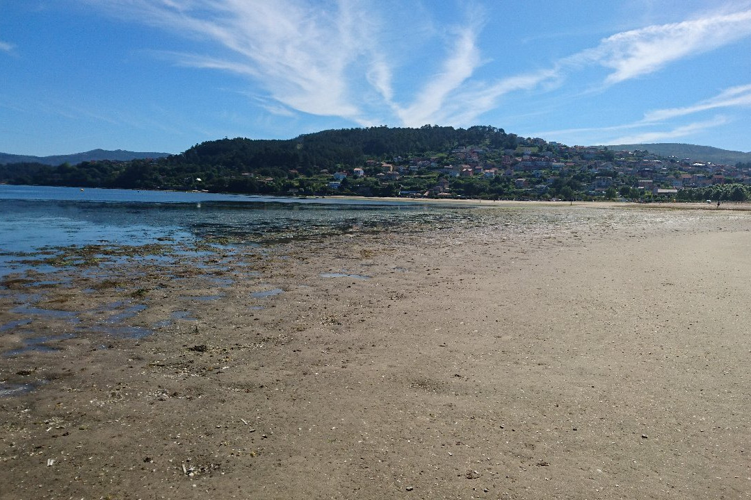 Playa de Cesantes景点图片