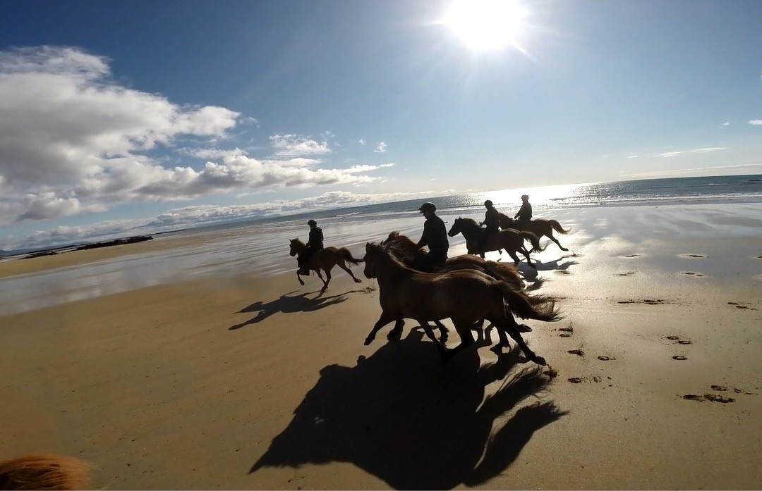 Gröf Horseback Riding Iceland & The Holy Ram Lodge-Arnarstapi必去景点
