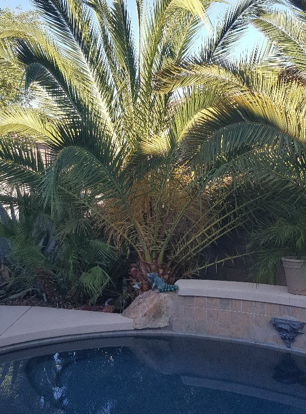 Happy Valley House主图