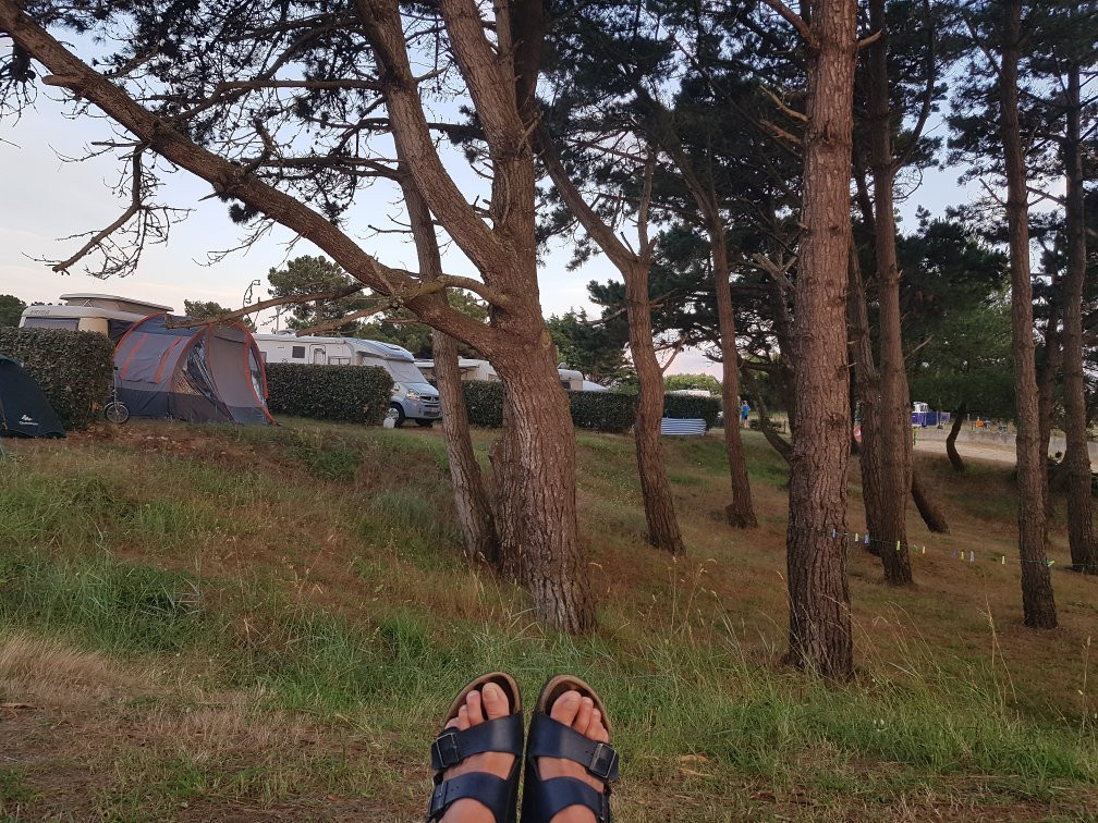 Camping Municipal La Falaise