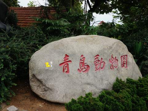 青岛动物园-青岛市必去景点
