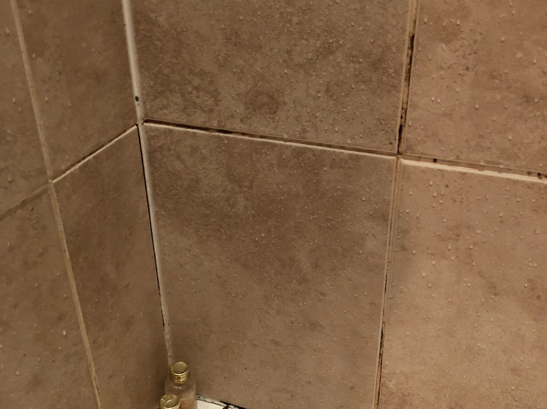 The Star Inn Ringwood主图