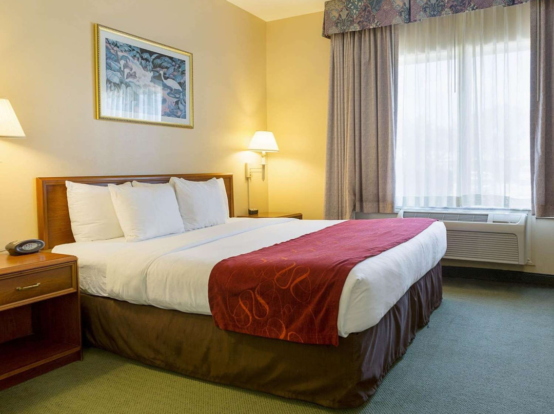 Comfort Suites La Porte - Baytown主图