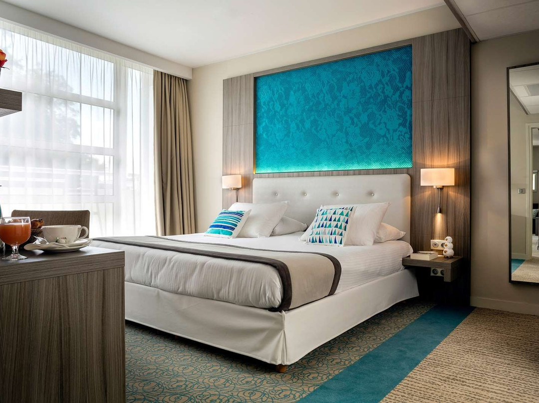 雷迪森布鲁埃克斯勒邦酒店主图