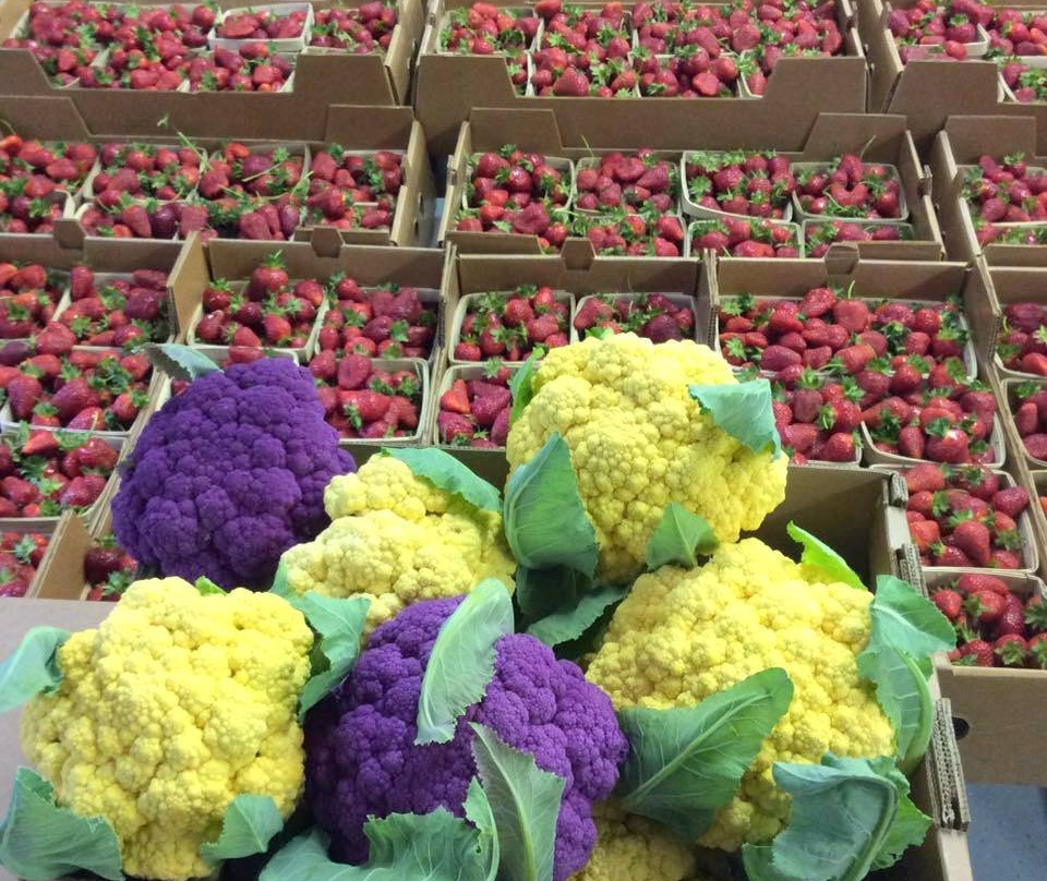 Gieringer's Family Orchard & Berry Farm-Edgerton必去景点