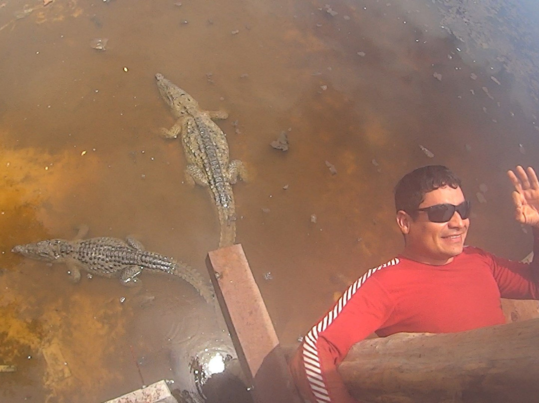Parque Nacional de Arrecifes-Xcalak必去景点