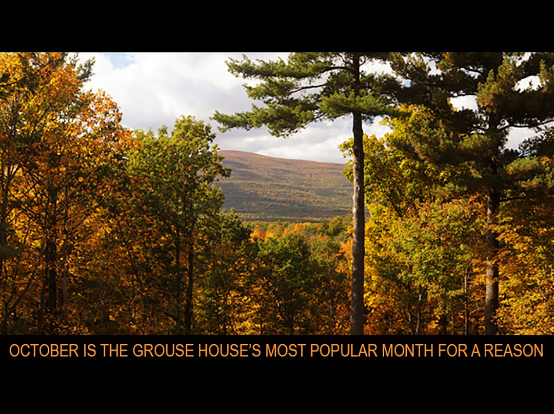 The Grouse House Bed And Breakfast主图