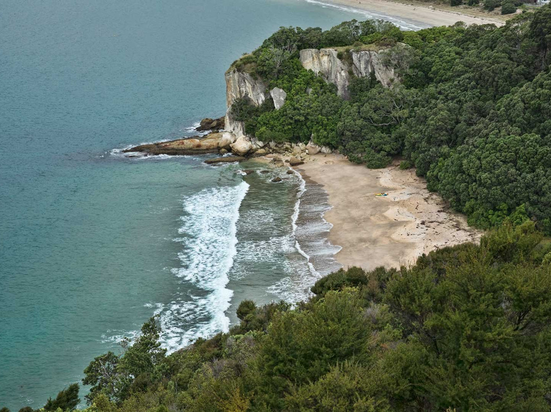 库克海滩旅游攻略图片