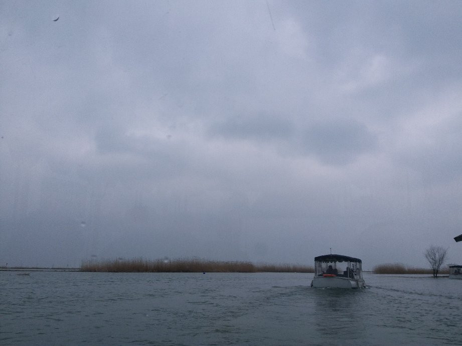 苏州太湖湿地公园景点图片