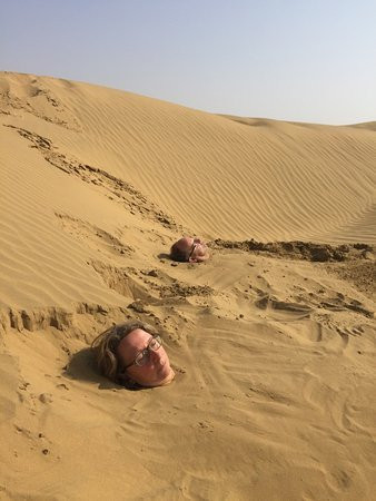 Golden Paradise Desert Resort主图