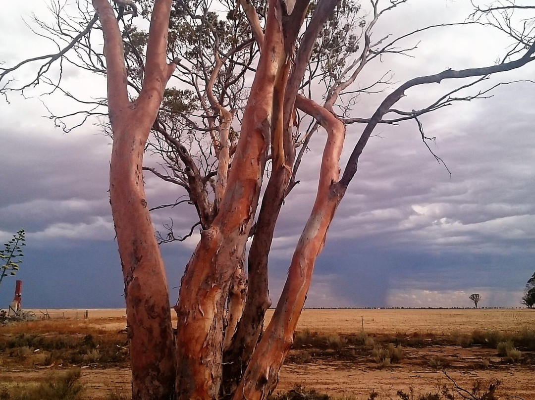 No. 1 Rabbit Proof Fence-Merredin必去景点
