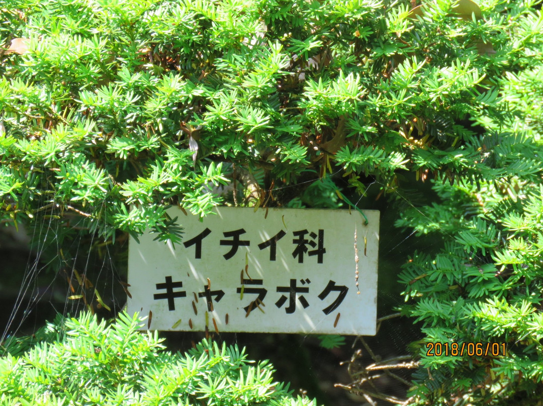 Takeda Residence-高冈市必去景点